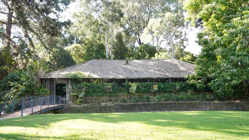 DSC00681