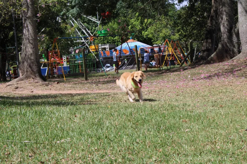 20240406125515_IMG_1722