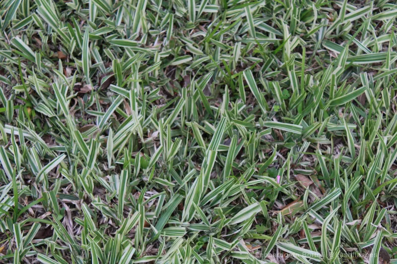 IMG_3829